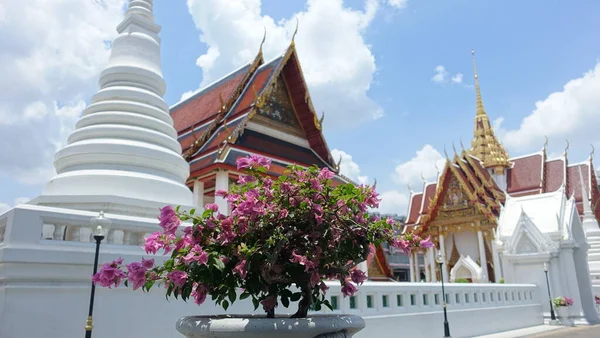 Blumen Wat Devarajkuchon — Stockfoto