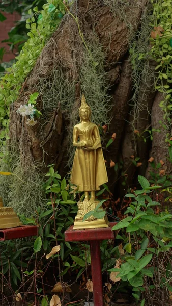 Günün Buddha 'sı - Çarşamba