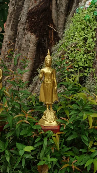 Buddha Del Día Lunes — Foto de Stock