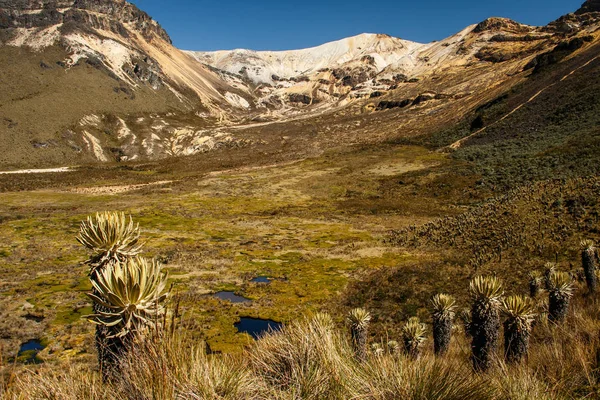 Nevado del quindio in los nevados, kolumbien — Stockfoto