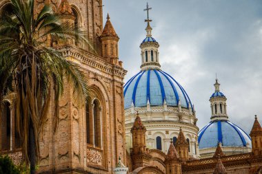 Cuenca, Ekvador 'daki Kusursuz Gebelik Katedrali