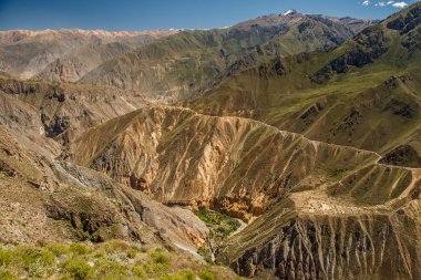 Güzel Colca Kanyon trek yakınındaki şehir: Arequipa, Peru