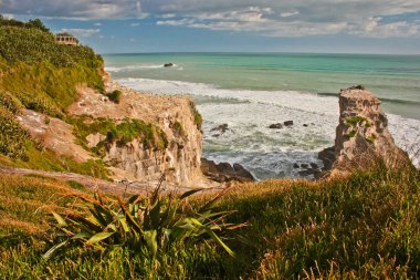 Muriwai plaj üzerinde North Island, Yeni Zelanda Cumhuriyeti