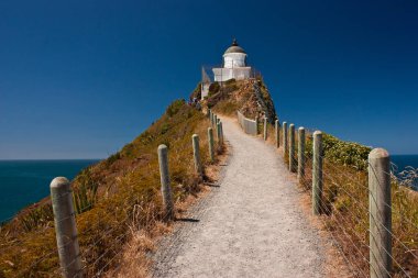 Deniz feneri noktada Nugget, Catlins alan, Yeni Zelanda