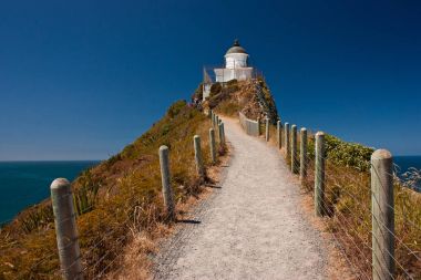 Lighthouse at Nugget point, Catlins area, New Zealand clipart