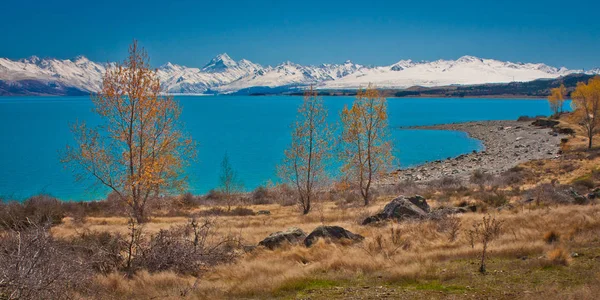 Lago Pukaki con Mt. Cocinero de fondo, Nueva Zelanda — Foto de Stock