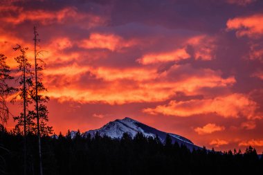 Bow Valley, Alberta eyaletinde, Kanada yukarıda ateşli gökyüzü