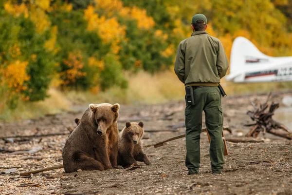 Park ranger trying to scare away mama-bear with her cubs.