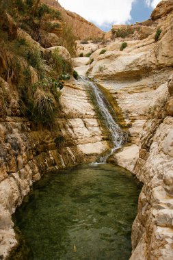 Ein Gedi doğa rezervi sıcak İsrail 'de yürüyüş yapmak için güzel ve ferahlatıcı bir yer.