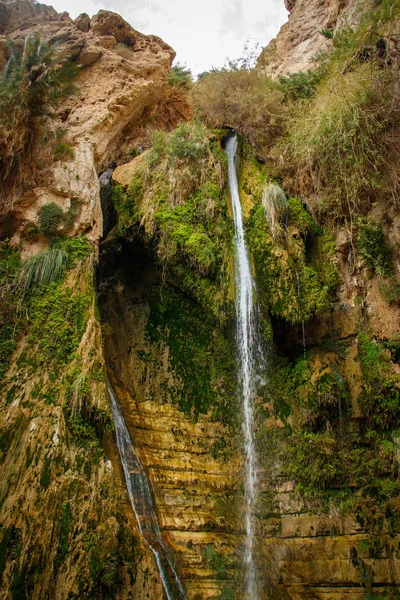 David falls in Eid Gedi nature reserve in Israel — Stock Photo, Image