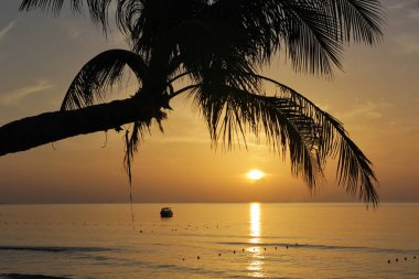 Tayland 'ın güney kesiminde bir sahilde gün batımı. Hindistan cevizi ağacı ön planda ve denizde yüzen küçük bir tekne var..