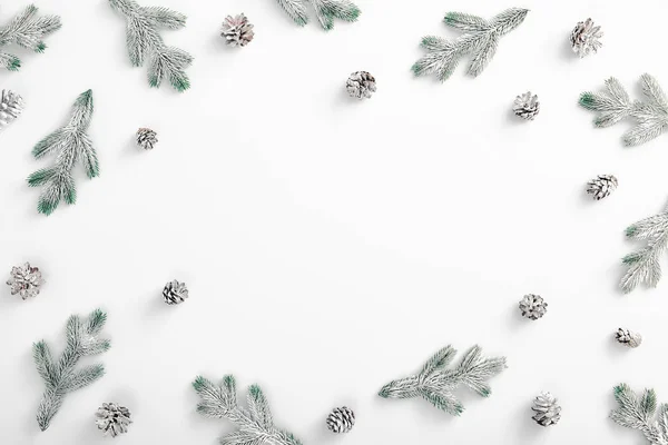 Ветка вечнозеленого дерева со снегом и сосновыми шишками — стоковое фото