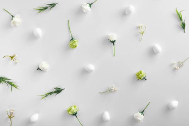 Beyaz arka planda bahar çiçekleri ve bitkiler. Çiçekler, yeşillik ve pamuk kapanıyor. Paskalya bayramı, kır tarzı botanik dekorasyonlar, çiçek sapları ve yeşil yapraklı ağaç dalları.