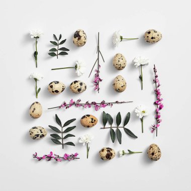 Bahar minimum konsepti. Yaratıcı Paskalya düzlüğü. Çiçekli bıldırcın yumurtaları. Beyaz arka plan. Kare şekil düzeni