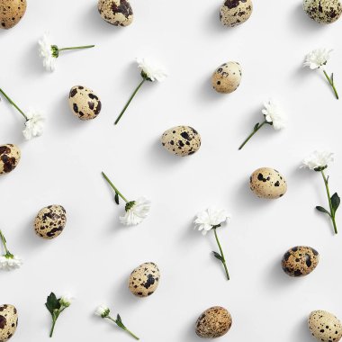 Asgari yaratıcı düzen - Beyaz arka planda Paskalya kompozisyonu. Bıldırcın yumurtaları ve beyaz çiçekli üst manzara. Bahar minimumu kompozisyon. Doğal Paskalya konsepti.