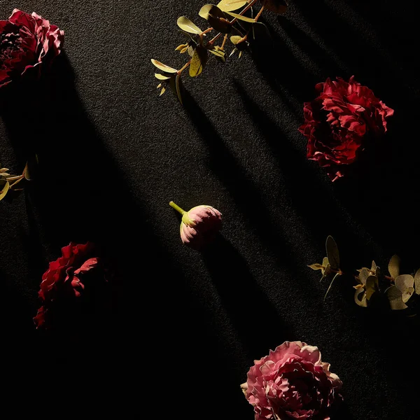 Moody floral concept - flower on dark textured background. Top view