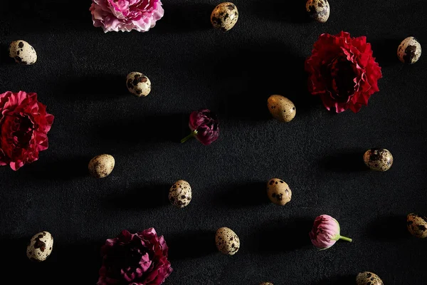 Quail eggs and moody flowers on old dark background. Spring, Easter or eco food minimal concept. Top view