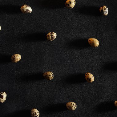 Eski karanlık arka planda bıldırcın yumurtaları. İlkbahar, Paskalya ya da ekolojik gıda minimum konsept. Üst görünüm, kare bileşimi