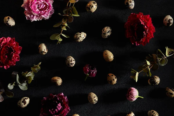 Quail eggs, green leaves and moody flowers on old dark background. Spring, Easter or eco food minimal concept. Top view