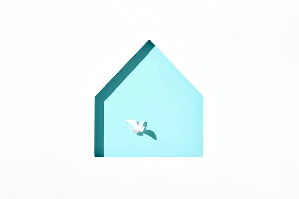 Diseño Creativo Mínimo Con Paloma Blanca Forma Casa Azul Quédate — Foto de Stock