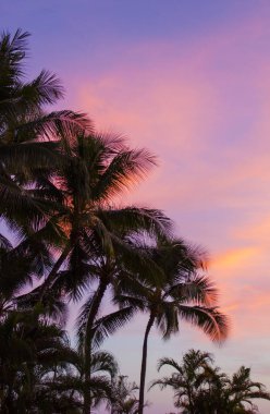 Waikiki 'de gün batımı Honolulu Hawaii' nin bir parçası, Usa