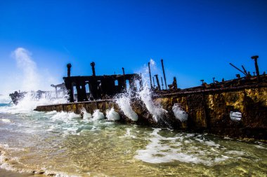 Fraser Adası 'nda gemi enkazı