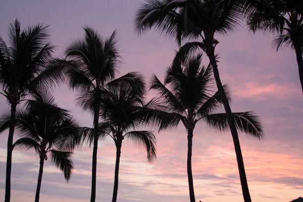 Puesta de sol en Waikiki una parte de Honolulu Hawaii, EE.UU. — Foto de Stock