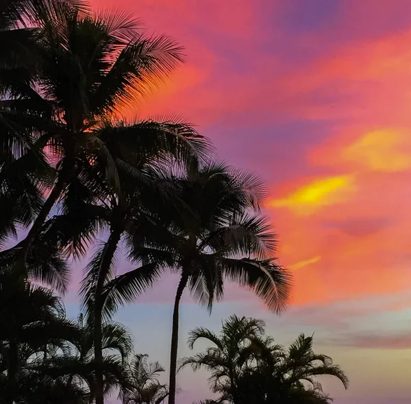 位于尤萨州檀香山夏威夷一部分的怀基基的日落 — 图库照片