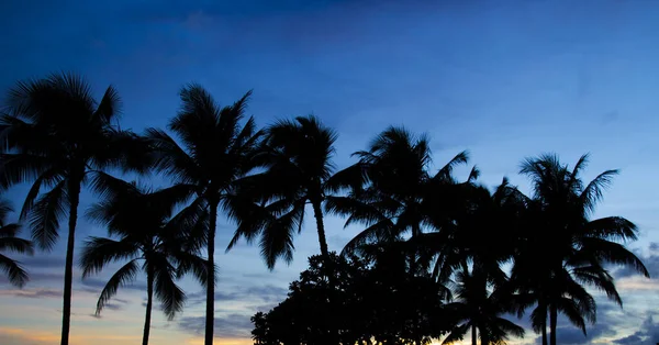 Puesta de sol en Waikiki una parte de Honolulu Hawaii, EE.UU. — Foto de Stock