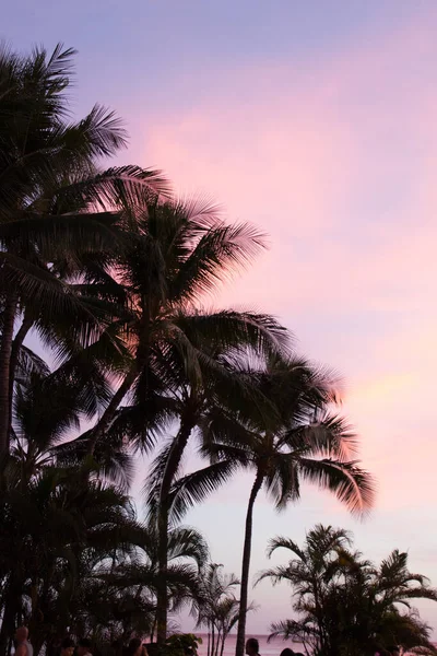 Puesta de sol en Waikiki una parte de Honolulu Hawaii, EE.UU. — Foto de Stock