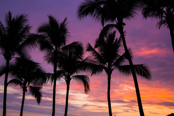 ハワイのワイキキの夕日,アメリカ — ストック写真