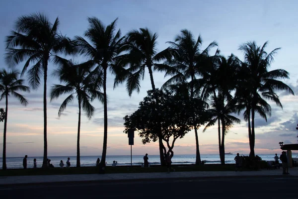 Puesta de sol en Waikiki una parte de Honolulu Hawaii, EE.UU. — Foto de Stock