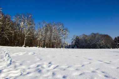 Güzel kış zamanı.