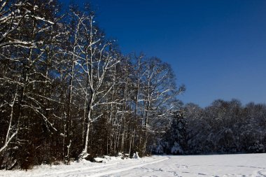 Güzel kış zamanı.