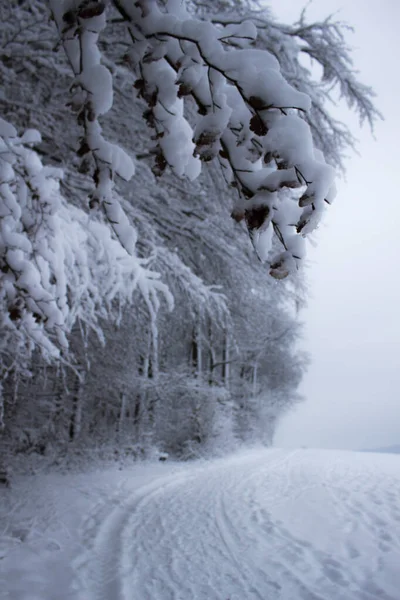 Ωραίος χειμώνας — Φωτογραφία Αρχείου