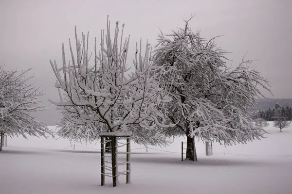 Nice winter time — Stock Photo, Image