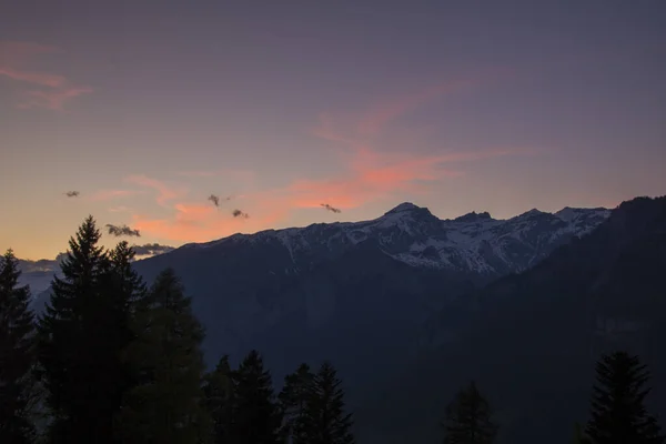 Закат в швейцарских Альпах — стоковое фото