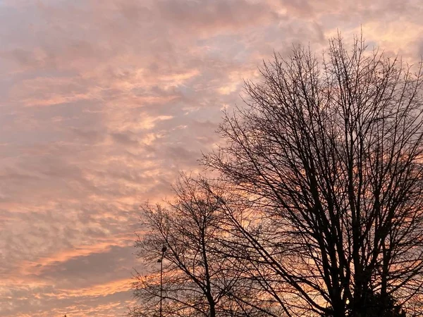Farbenfroher winterlicher Sonnenuntergang — Stockfoto