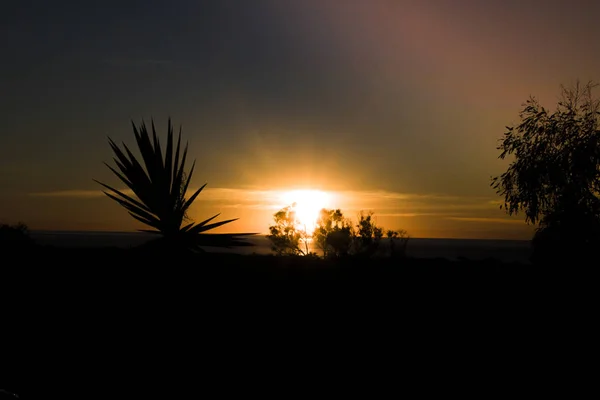 Sonnenuntergang in Königinnenland Australien — Stockfoto