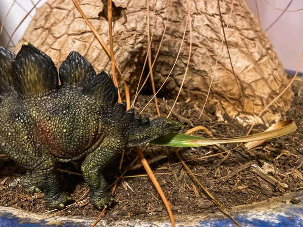 Dinosaurio Juguete Corre Por Suelo Pie Elefante — Foto de Stock