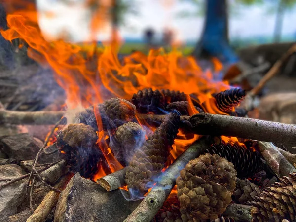 Burning Wood Fire Red Flames Glowing Embers Sunny Spring Morning — Stock Photo, Image