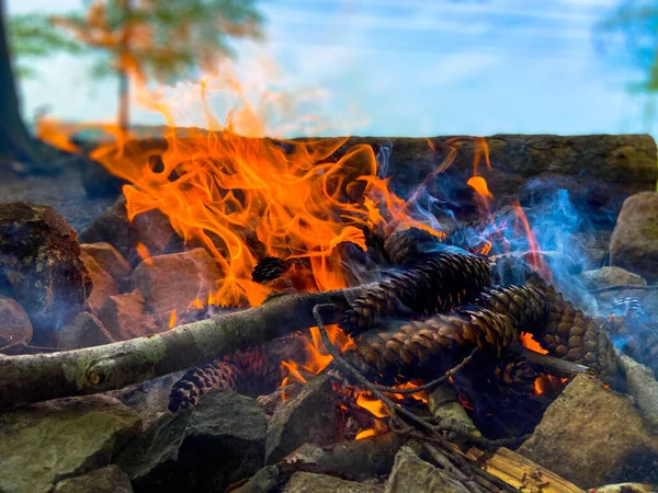 Burning Wood Fire Red Flames Glowing Embers Sunny Spring Morning — Stock Photo, Image