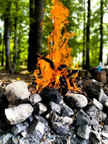 Burning Wood Fire Red Flames Glowing Embers Sunny Spring Morning — Stock Photo, Image