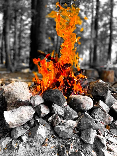 Ein Brennendes Holzfeuer Mit Roten Flammen Und Glühender Glut Einem — Stockfoto