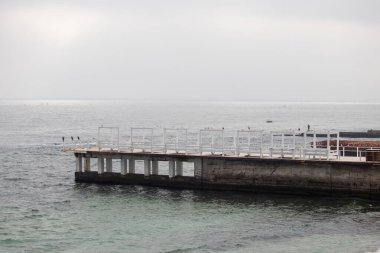 Bagajına bıçak çizilmiş bir ağaç.