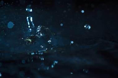 Su koyu arkaplanda sıçrıyor