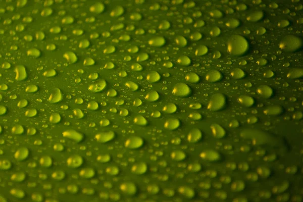黑暗中 水滴在塑料绿色的背景上 — 图库照片