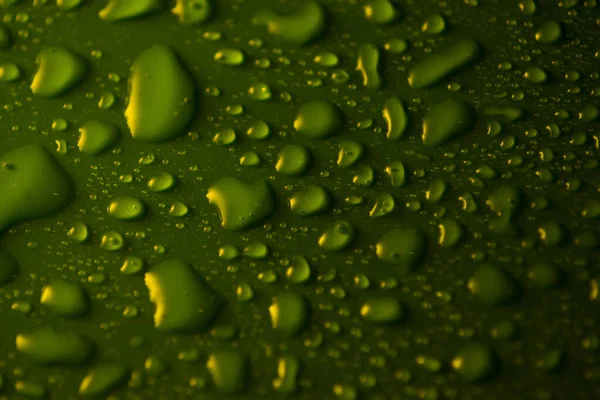 Water Drops Plastic Green Background Dark — Stock Photo, Image