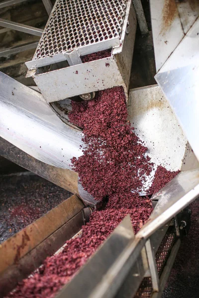 The process of pressing grapes in the production of wine