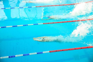 Yüzücüler havuzda kendi aralarında hız için yarışıyorlar.